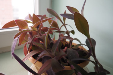 Similar image 21818120