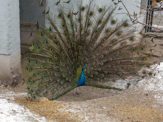 Similar image 21828095