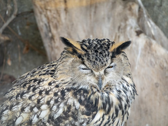 Similar image 21828096