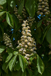 Similar image 21815839