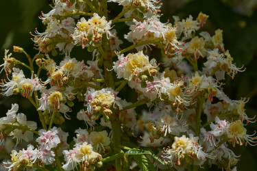 Similar image 21815840