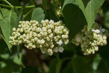 Similar image 21815843