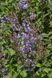 Similar image 21815845