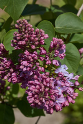 Similar image 21815848