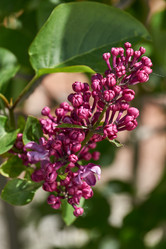 Similar image 21815849