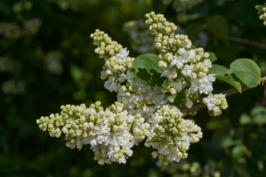 Similar image 21815850