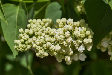 Similar image 21815851