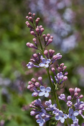 Similar image 21815857