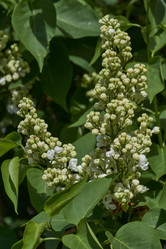 Similar image 21815858