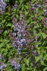 Similar image 21815859