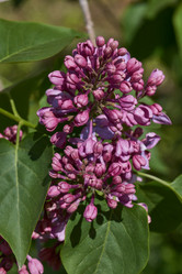 Similar image 21815860