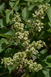 Similar image 21815861