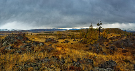 Similar image 21819384