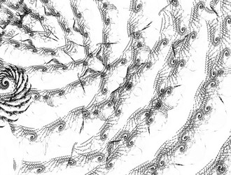 Similar image 21821424