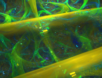 Similar image 21821624