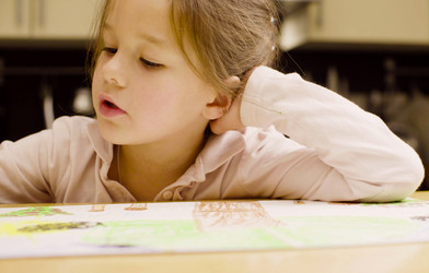 Similar image 21816246