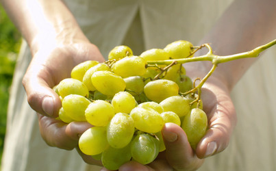 Similar image 21816276