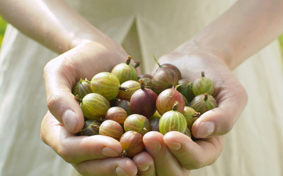 Similar image 21816277