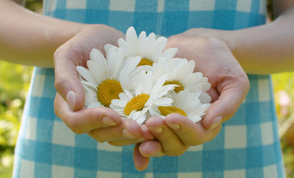 Similar image 21816281