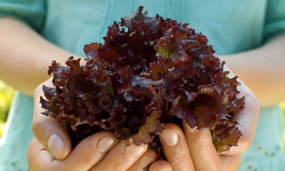 Similar image 21816283