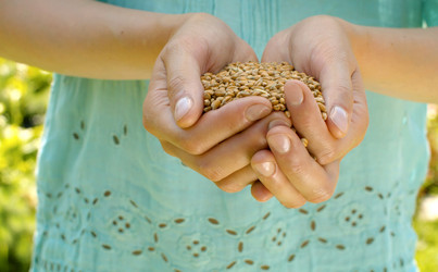 Similar image 21816287