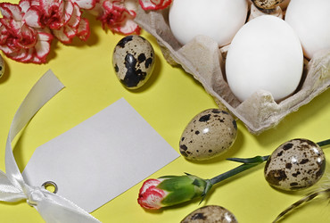 Similar image 21816198