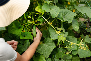 Similar image 21816205