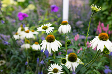 Similar image 21816211