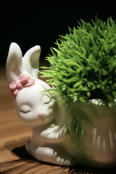 Similar image 21815865