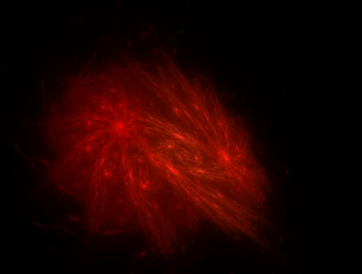 Similar image 21817813