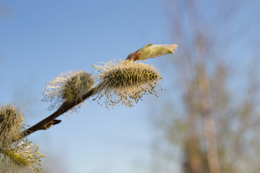 Similar image 21816214