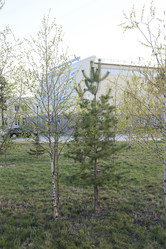 Similar image 21816215