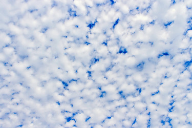 Similar image 21818123