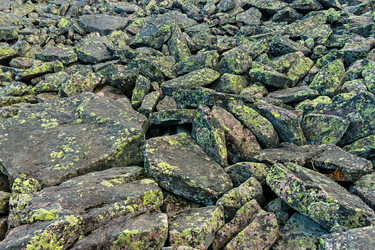 Similar image 21818148