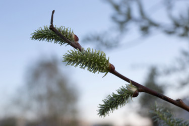 Similar image 21818150