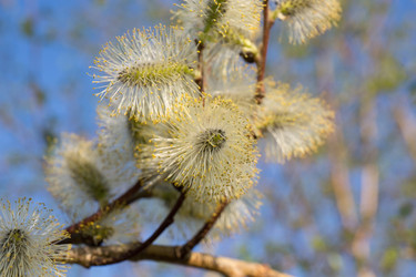 Similar image 21818152