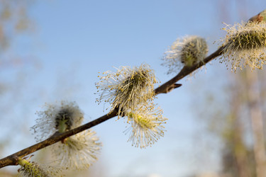 Similar image 21818153