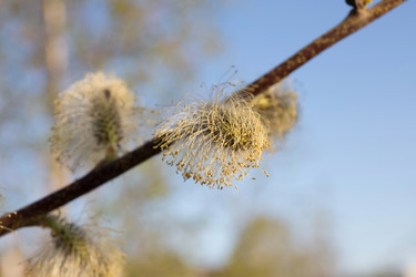 Similar image 21818154