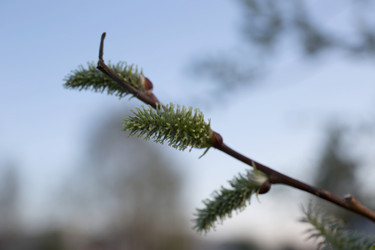 Similar image 21818155