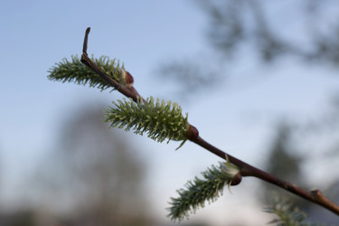 Similar image 21818156