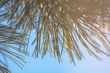 Similar image 21816301