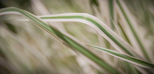 Similar image 21816308