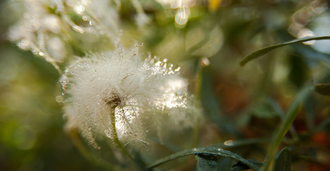 Similar image 21816311