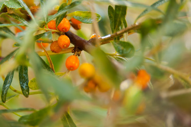 Similar image 21816312