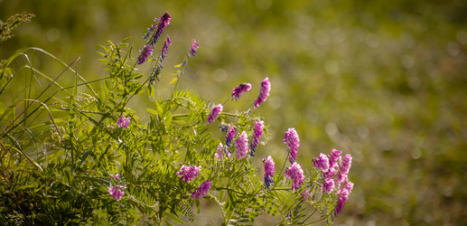 Similar image 21816316