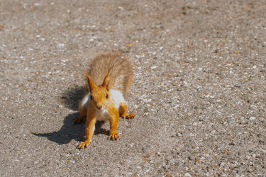 Similar image 21816317