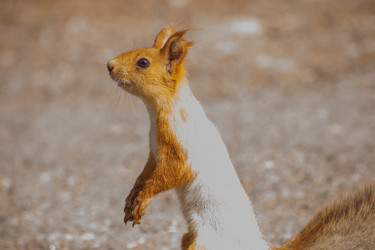 Similar image 21816318