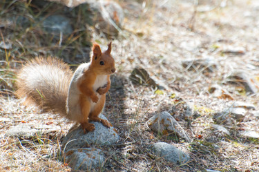 Similar image 21816319