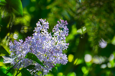 Similar image 21816320