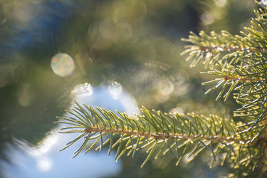 Similar image 21816324